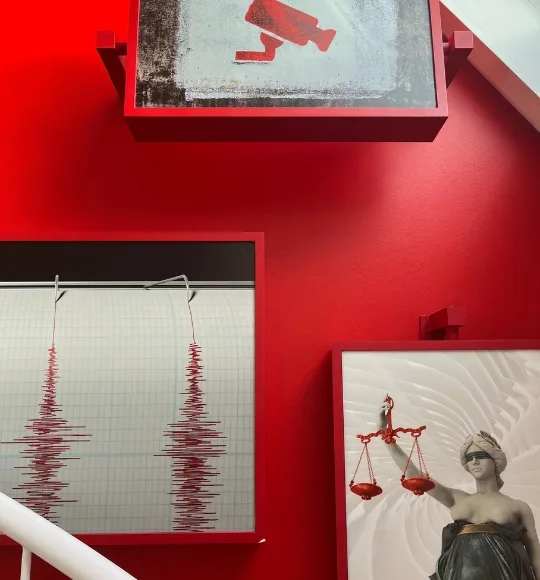 Mur escalier haas avocats